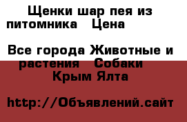 Щенки шар-пея из питомника › Цена ­ 15 000 - Все города Животные и растения » Собаки   . Крым,Ялта